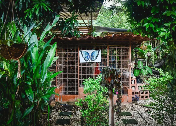 Casa Cora Bed and breakfast *